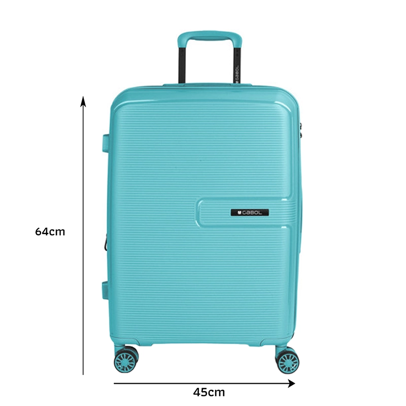 Template Steady 125546018-2 copy